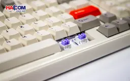83010_ban_phim_co_dareu_ek98_pro_proto_3_modes_pbt_rgb_dream_switch_009.JPG 11