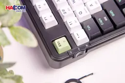 92292_ban_phim_co_edra_ek398w_3_mode_black_white_green_blueberry_linear_switch_06.JPG 8