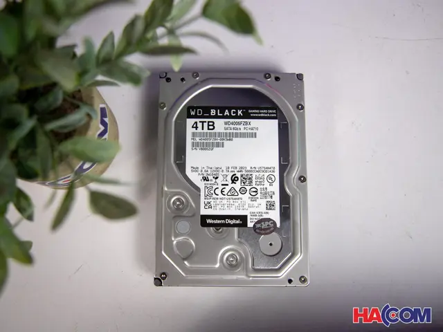 34548_hdd_wd_caviar_black_4tb7200_sata3_wd4004fzwx_at__2_.JPG 4