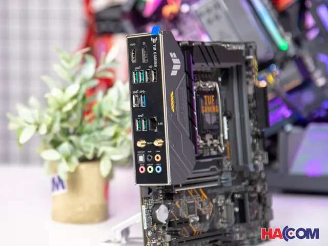 63406_mainboard_asus_tuf_gaming_b660m_plus_wifi_d4_at__5_.JPG 8