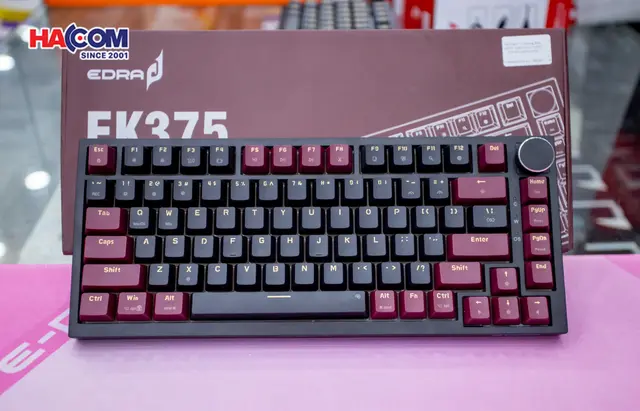 78067_ban_phim_co_gaming_edra_ek375_alpha_blue_switch_usb_pbt_led_rainbow_04.JPG 6