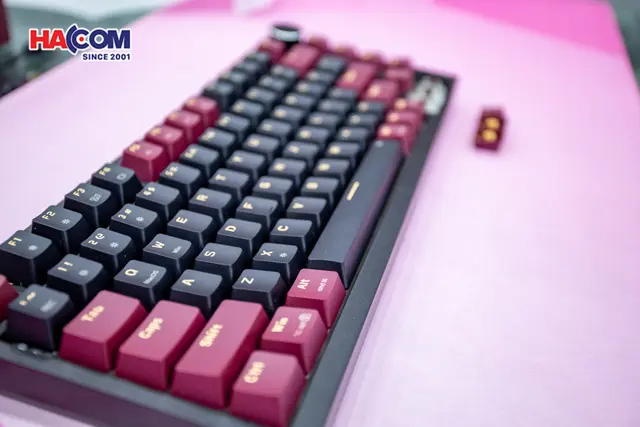 78067_ban_phim_co_gaming_edra_ek375_alpha_blue_switch_usb_pbt_led_rainbow_08.JPG 10