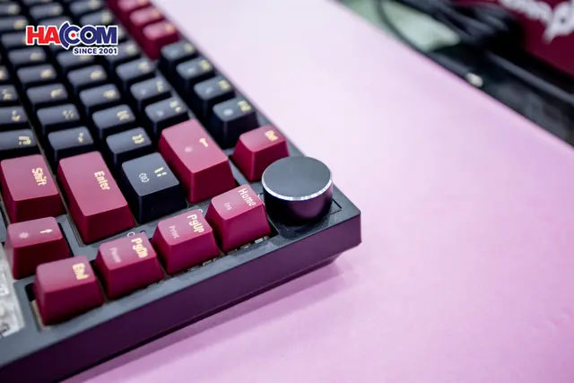 78068_ban_phim_co_gaming_edra_ek375_alpha_brown_switch_usb_pbt_led_rainbow_07.JPG 9