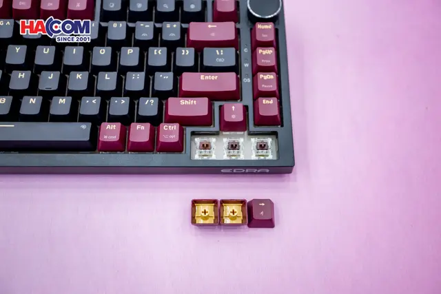 78068_ban_phim_co_gaming_edra_ek375_alpha_brown_switch_usb_pbt_led_rainbow_09.JPG 11