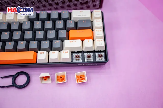 71049_ban_phim_co_gaming_khong_day_edra_ek368l_beta_brown_switch_bluetooth_2_4g_07.JPG 8