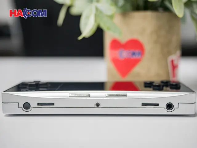 72114_may_choi_game_cam_tay_anbernic_rg300x_mau_den_007.JPG 12