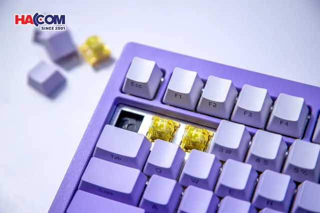 86052_ban_phim_co_akko_monsgeek_m1w_he_sp_v3_lilac_purple_rgb_hotswap_magnetic_switch_003.JPG 9