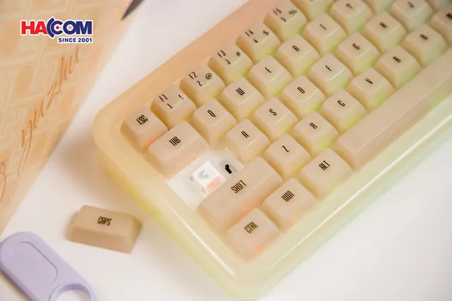 86818_ban_phim_akko_yu01_antique_jade_rgb_hotswap_piano_pro_sw_multi_mode_07.JPG 12