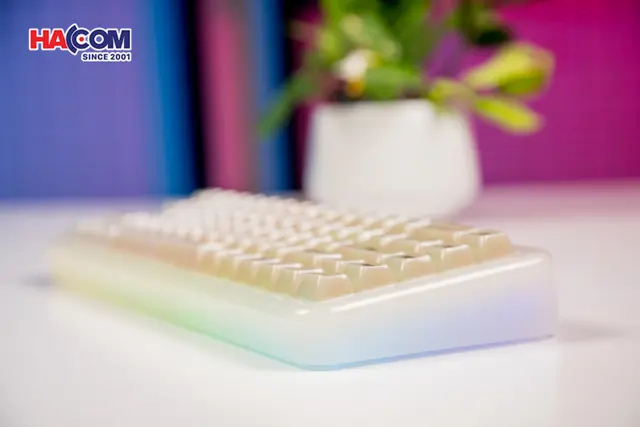 86818_ban_phim_akko_yu01_antique_jade_rgb_hotswap_piano_pro_sw_multi_mode_09.JPG 14