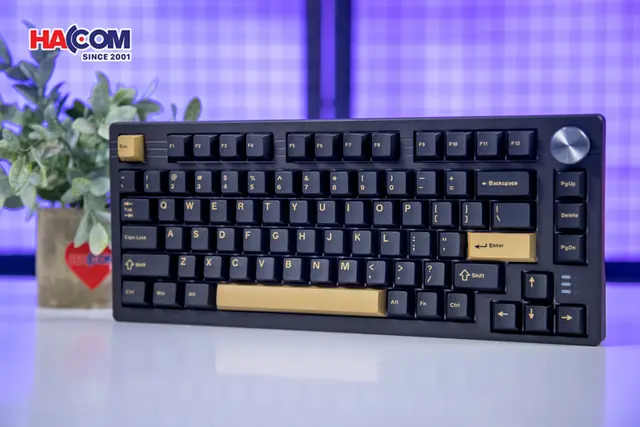 86857_ban_phim_co_gaming_dareu_ek75_rt_rapid_trigger_rgb_hotswap_magnetic_switch_05.JPG 10