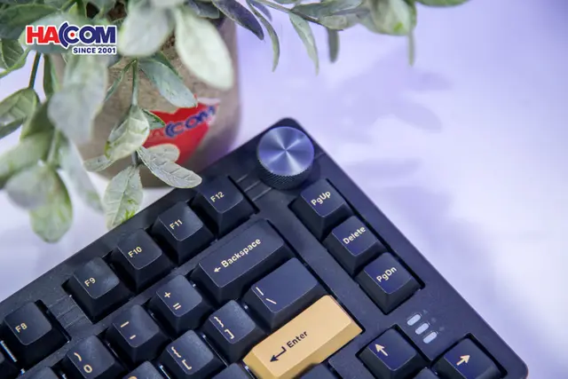 86857_ban_phim_co_gaming_dareu_ek75_rt_rapid_trigger_rgb_hotswap_magnetic_switch_08.JPG 13