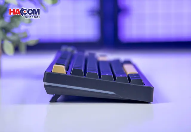 86857_ban_phim_co_gaming_dareu_ek75_rt_rapid_trigger_rgb_hotswap_magnetic_switch_012.JPG 17