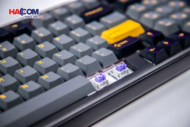 83009_ban_phim_co_dareu_ek98_pro_black_golden_3_modes_pbt_rgb_dream_switch_0011.JPG 13