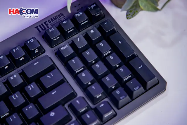 83438_ban_phim_co_asus_tuf_k3_gen_ii_black_06.JPG 13