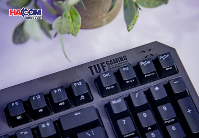 83438_ban_phim_co_asus_tuf_k3_gen_ii_black_07.JPG 14