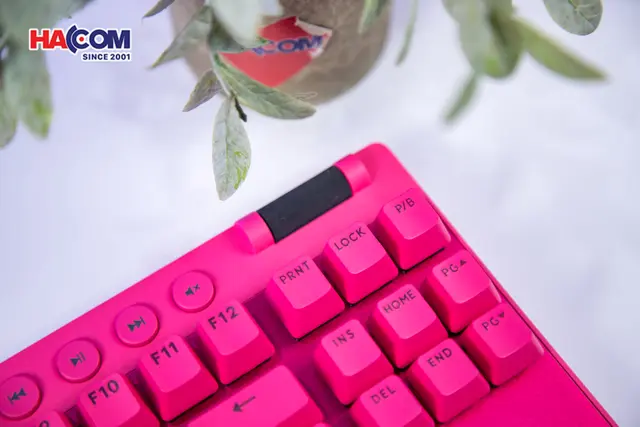90730_ban_phim_he_logitech_pro_x_tkl_rapid_mau_hong_920_013254_06.JPG 6