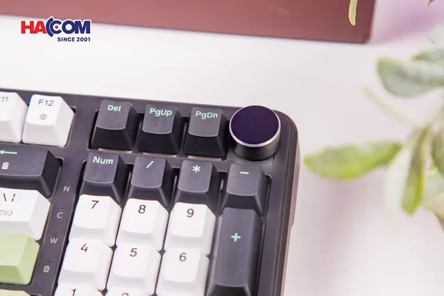 92292_ban_phim_co_edra_ek398w_3_mode_black_white_green_blueberry_linear_switch_04.JPG 6