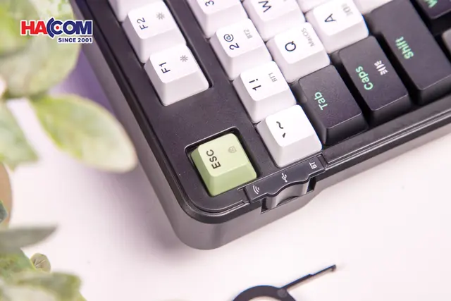 92292_ban_phim_co_edra_ek398w_3_mode_black_white_green_blueberry_linear_switch_06.JPG 8