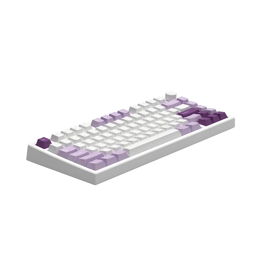 70884_ban_phim_co_fl_esports_gp75cpm_white_body_taro_purple_brown_switch_kailh_box_5.jpg 3