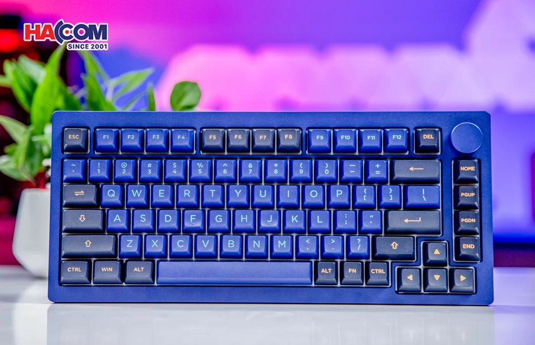 86152_ban_phim_akko_monsgeek_m1w_he_sp_v3_horizon_blue_rgb_hotswap_magnetic_switch_003.JPG 3