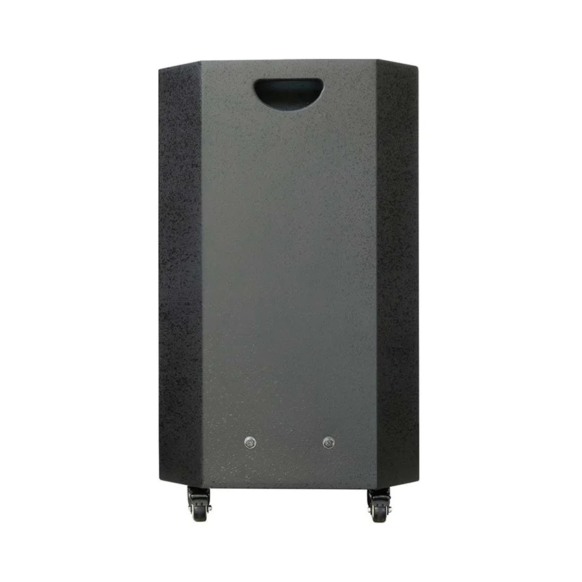 87556_loa_keo_acnos_aucus_ak600_bass_40cm_100w_kem_2_micro_khong_day_4.jpg 3