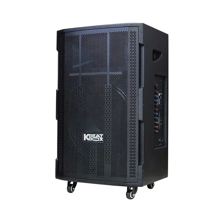 87635_loa_keo_acnos_cb393g_bass_40cm_130w_kem_2_tay_mic_2.jpg 1