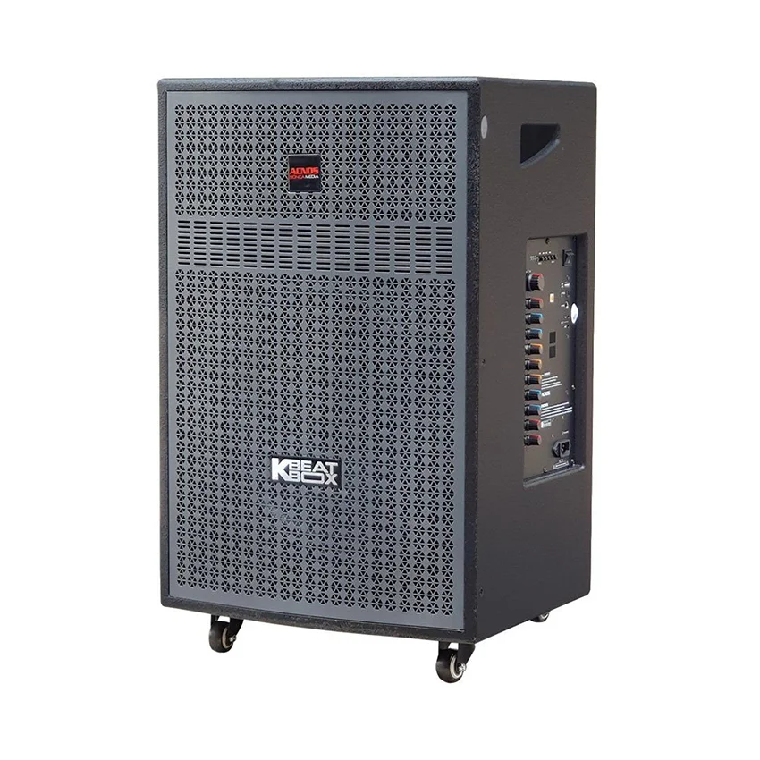 87638_loa_keo_acnos_cb405gd_bass_40cm_100w_kem_2_tay_mic_3.jpg 2