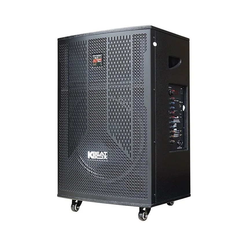 87639_loa_keo_acnos_cb41n650_bass_40cm_cs_130w_kem_2_tay_mic_2.jpg 1