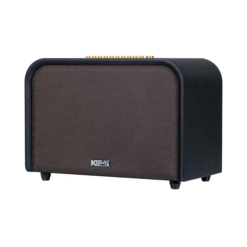 87782_loa_karaoke_acnos_acoustic_3_bass_25cm_220w_bluetooth_5_0_kem_2_mic_2.jpg 1