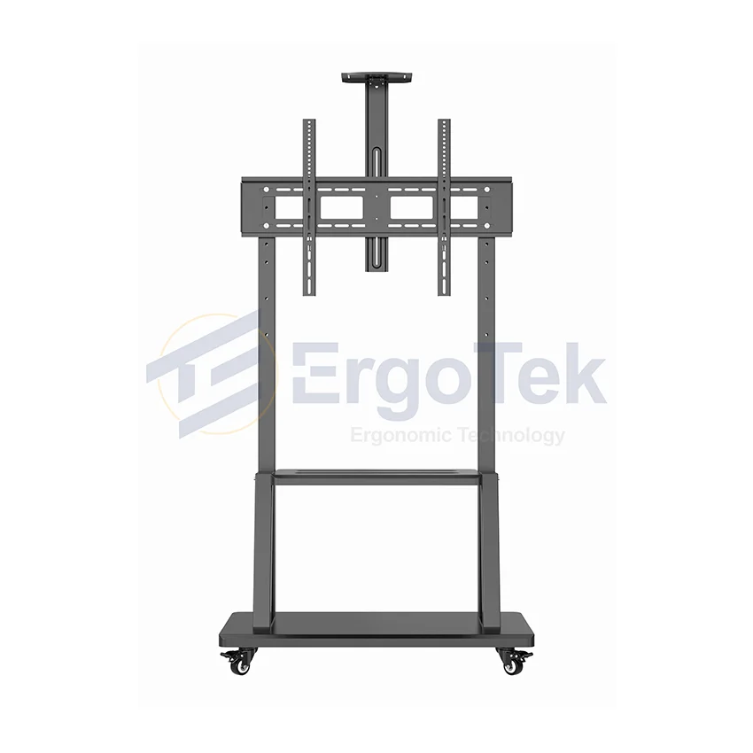 89540_gia_treo_tivi_di_dong_ergotek_e2500_1.jpg 0