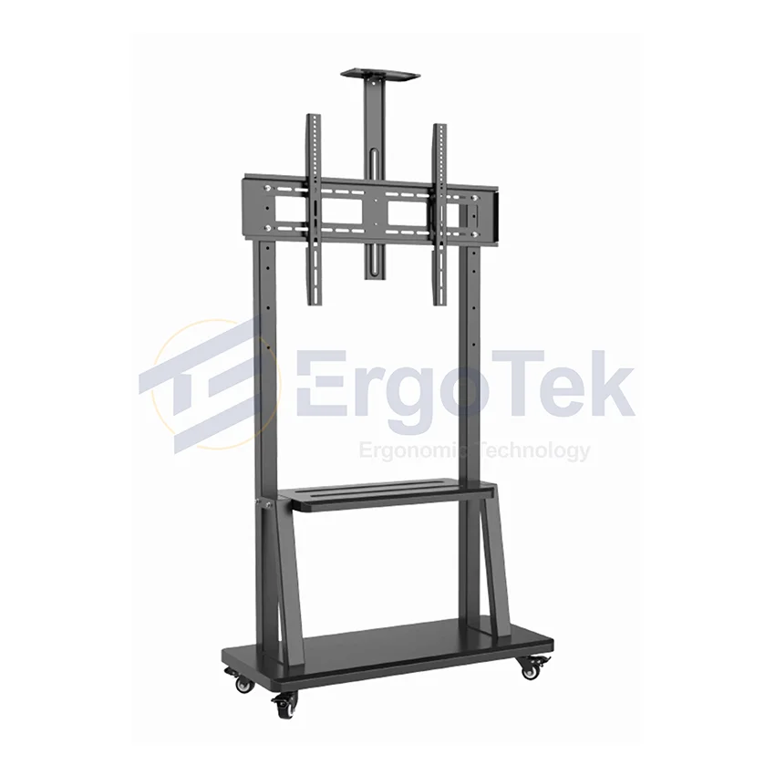 89540_gia_treo_tivi_di_dong_ergotek_e2500_2.jpg 1