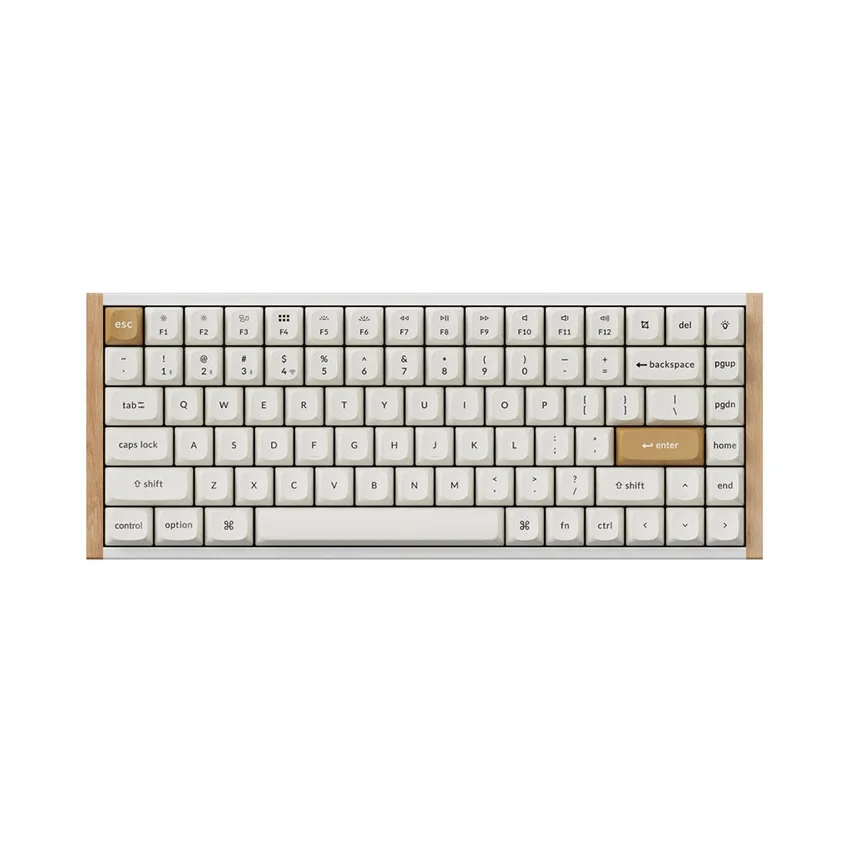 90365_ban_phim_keychron_k2h_q1_k2_he_swappable_rgb_backlight_aluminum_nebula_switch_white_special_edition.jpg 0