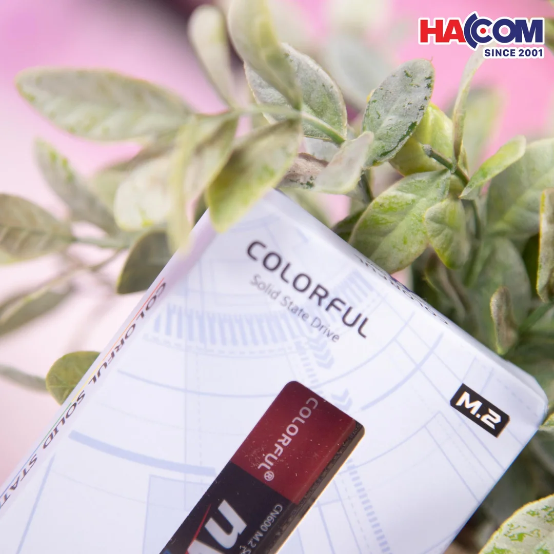 91295_____c___ng_ssd_colorful_cn600_256gb_____m_2_2280_pcie_gen3_x4___3_.jpg 3