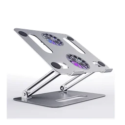 68961_boneruy_p43f_4.png 0