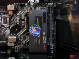 60958_ram_desktop_adata_xpg_gammix_d10_ax4u320016g16a_sb10_16gb_1x16gb_ddr4_3200mhz_11.jpg 1