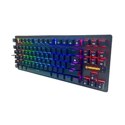 63821_ban_phim_co_newmen_ge87_blue_sw_usb_rainbow_newmen_sw_0001_2.jpg 1