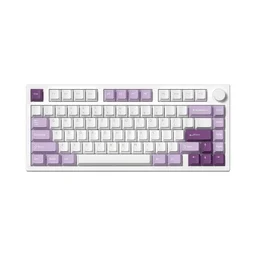 70884_ban_phim_co_fl_esports_gp75cpm_white_body_taro_purple_brown_switch_kailh_box_2.jpg 0