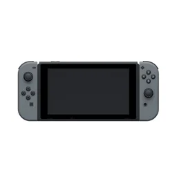 71438_may_choi_game_nintendo_switch_gray_v2_0003_4.jpg 0