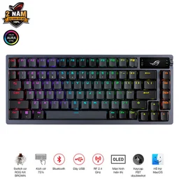 84233_rog_azoth_brown_01.jpg 0