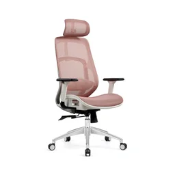 84752_ghe_cong_thai_hoc_hyperwork_airy_pink_khung_trang_luoi_hong__1_.jpg 1