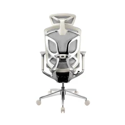 85362_ghe_cong_thai_hoc_gtchair_dvary_butterfly_pro_trang_003.jpg 0