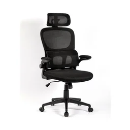 85668_70914_ghe_cong_thai_hoc_vitra_er.jpg 1