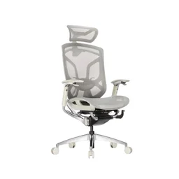 86203_ghe_cong_thai_hoc_gtchair_dvary_butterfly_xam__3_.jpg 1