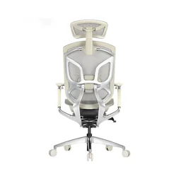 86203_ghe_cong_thai_hoc_gtchair_dvary_butterfly_xam__1_.jpg 0