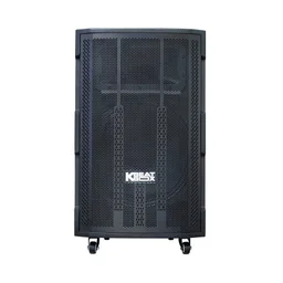 87635_loa_keo_acnos_cb393g_bass_40cm_130w_kem_2_tay_mic_1.jpg 0