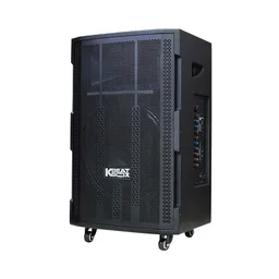 87635_loa_keo_acnos_cb393g_bass_40cm_130w_kem_2_tay_mic_2.jpg 1