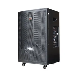 87639_loa_keo_acnos_cb41n650_bass_40cm_cs_130w_kem_2_tay_mic_2.jpg 1