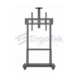 89540_gia_treo_tivi_di_dong_ergotek_e2500_1.jpg 0