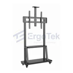 89540_gia_treo_tivi_di_dong_ergotek_e2500_2.jpg 1