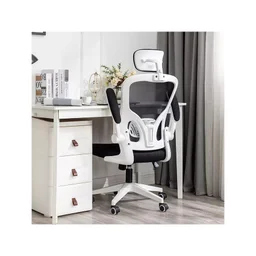 83899_ghe_cong_thai_hoc_xiaomi_manson_regal_trang_luoi_den__2_.jpg 1